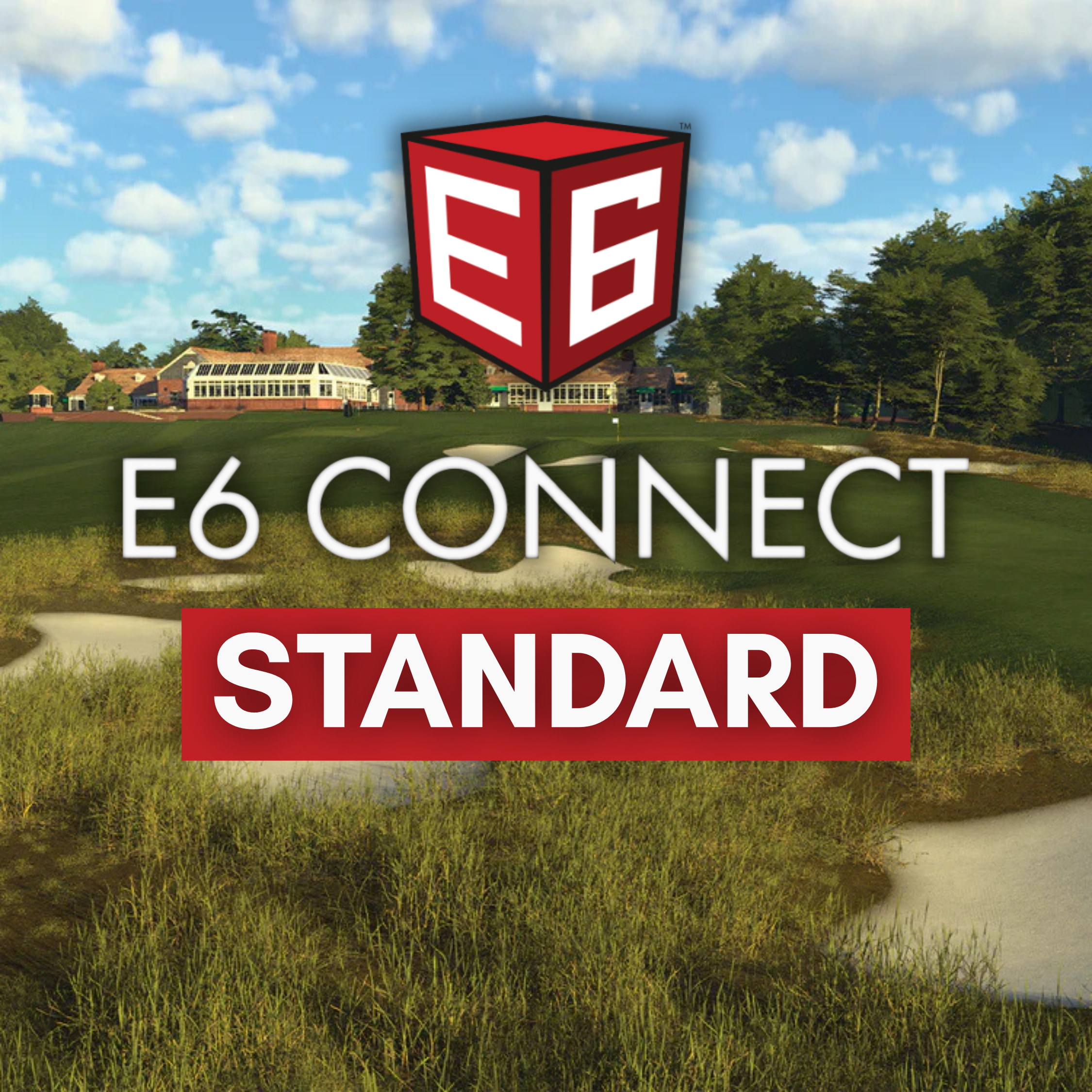 E6 Connect Standard | Perpetual